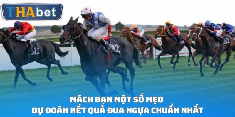 Mách bạn một số mẹo dự đoán kết quả đua ngựa chuẩn nhất