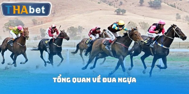 Tổng quan về đua ngựa